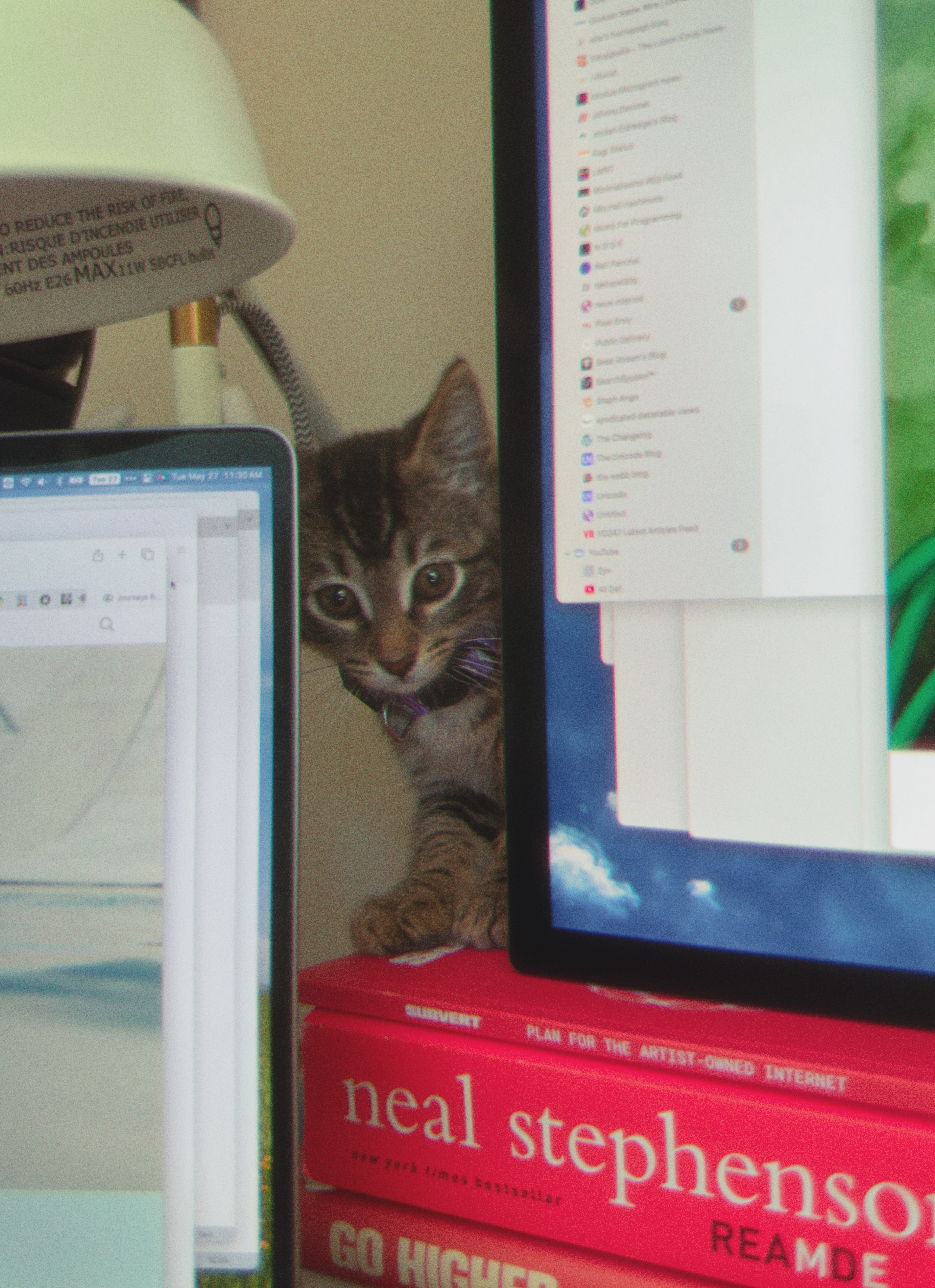 kitty cocoa peering from behind my monitor