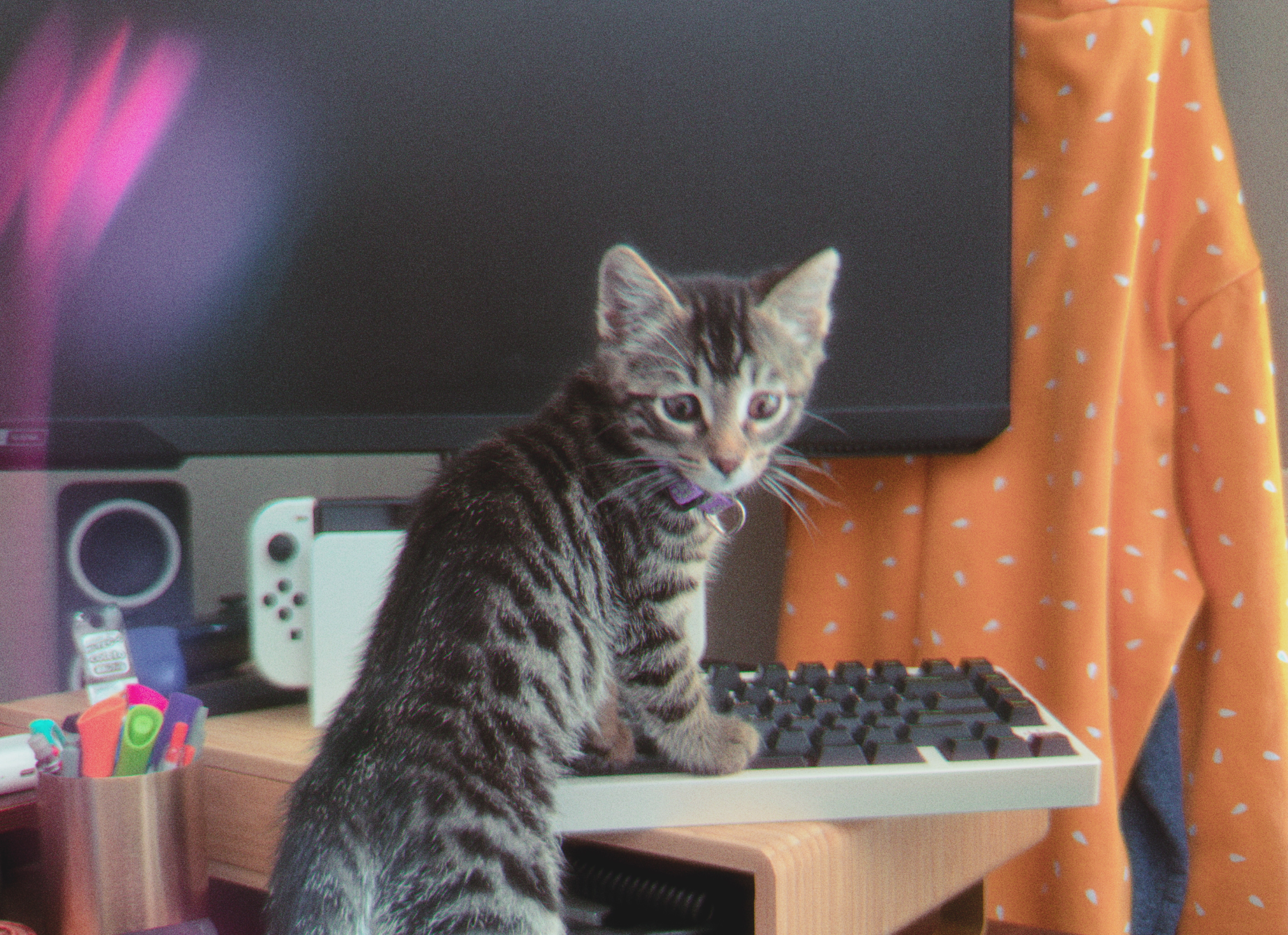 kitty cocoa propping herself up on my keyboard