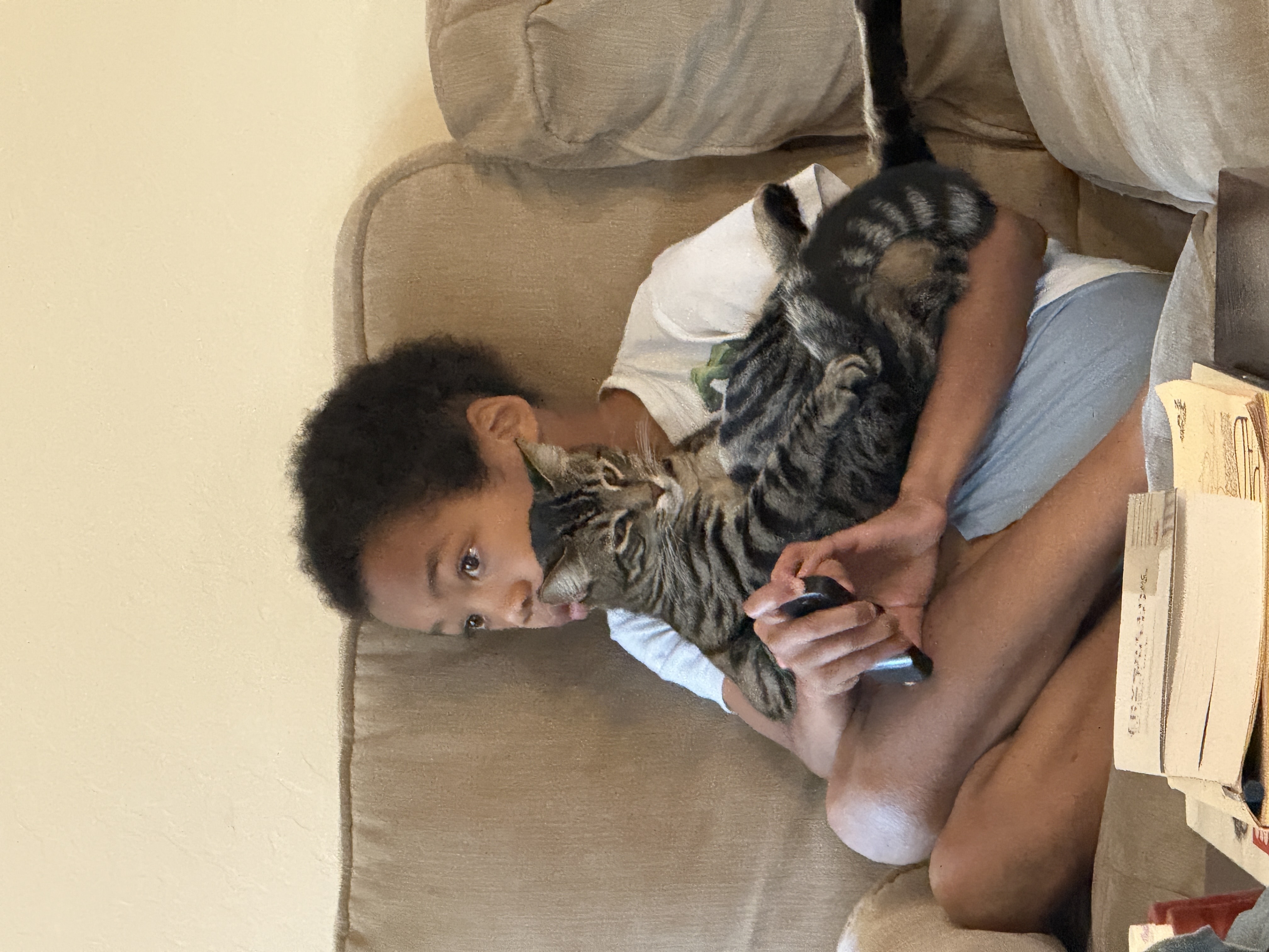 cocoa sitting in my son’s lap watching tv