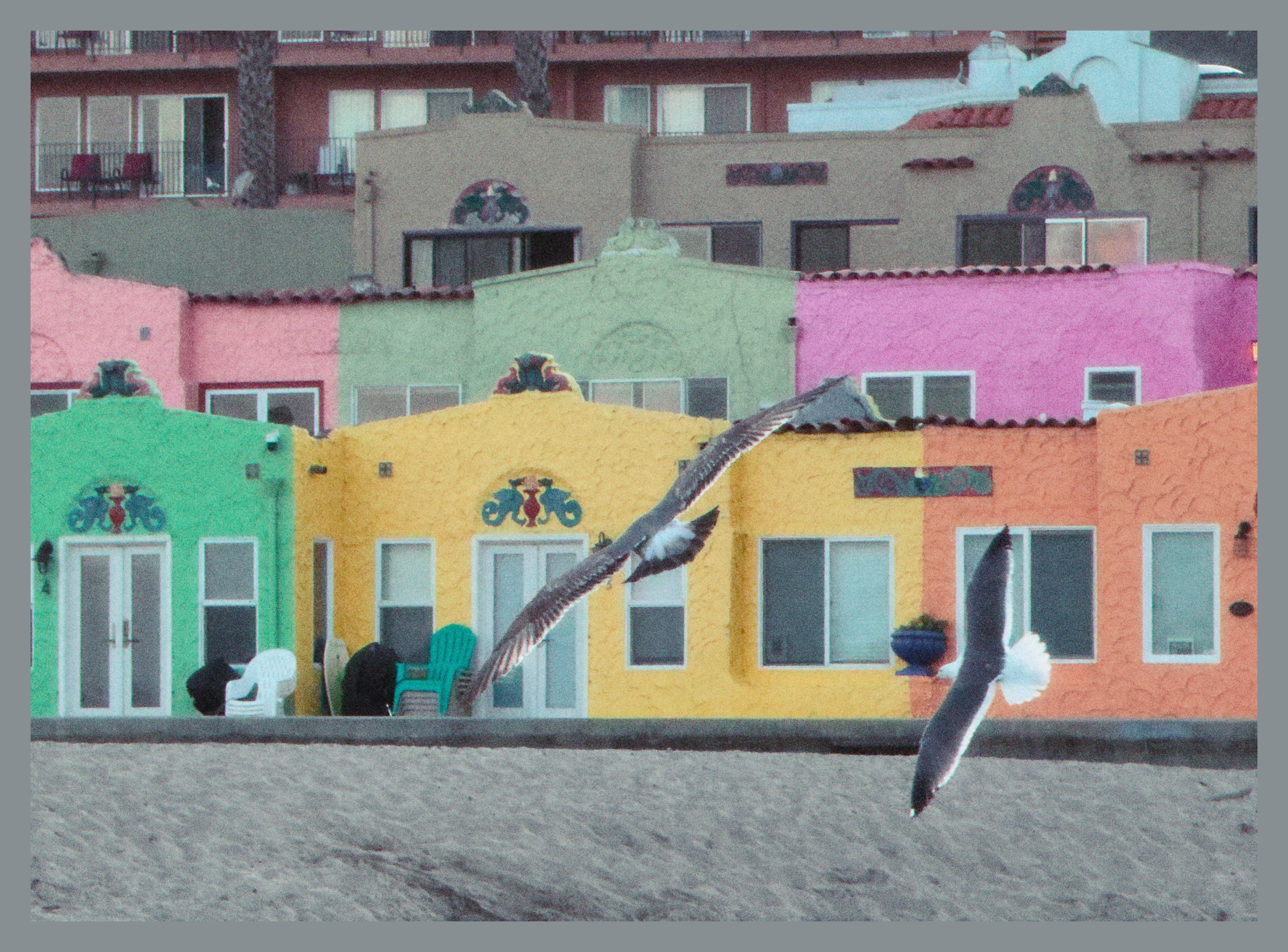 seagulls flying in front of colorfull beach houses