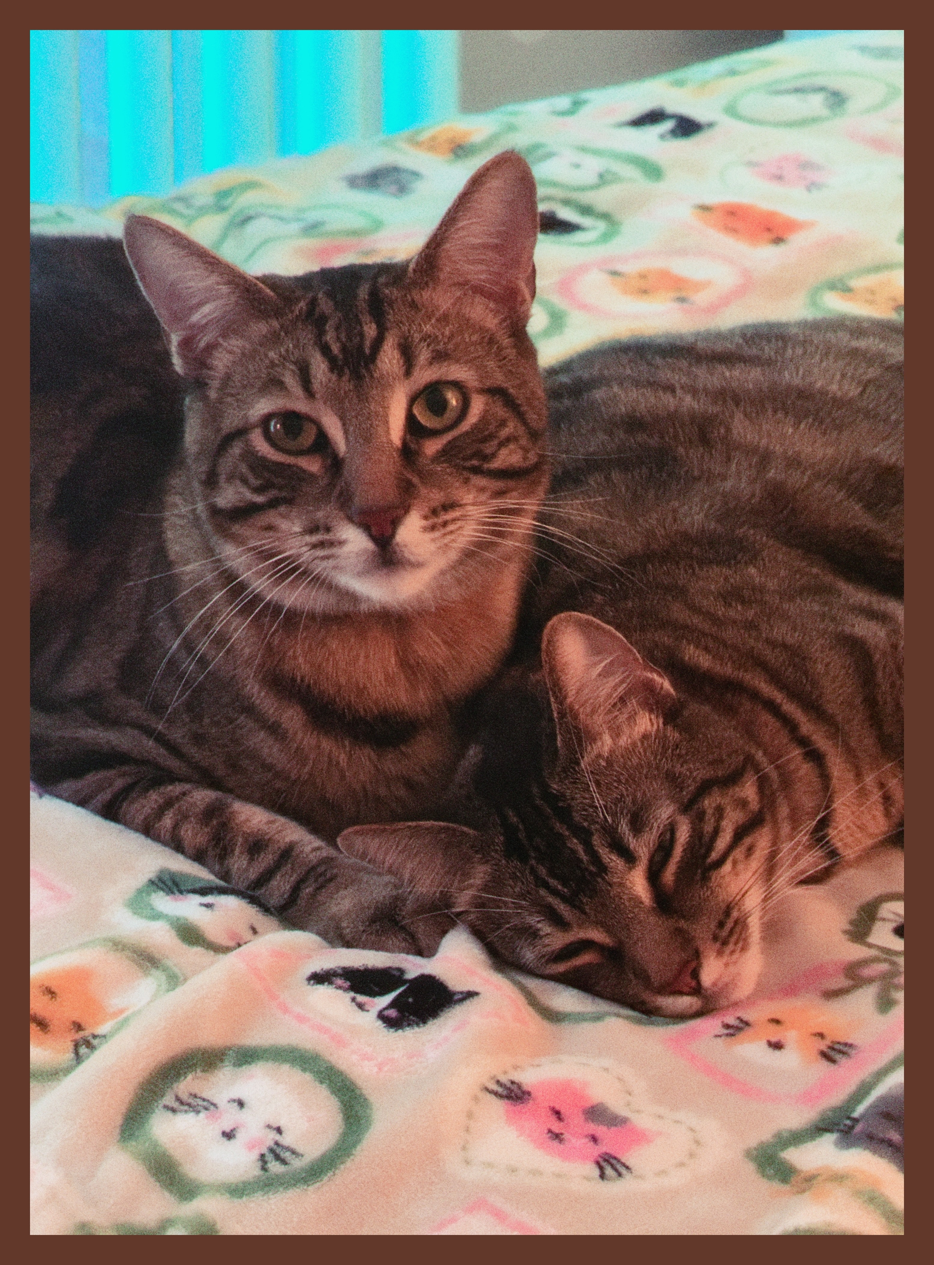 Bean and Cocoa portrait