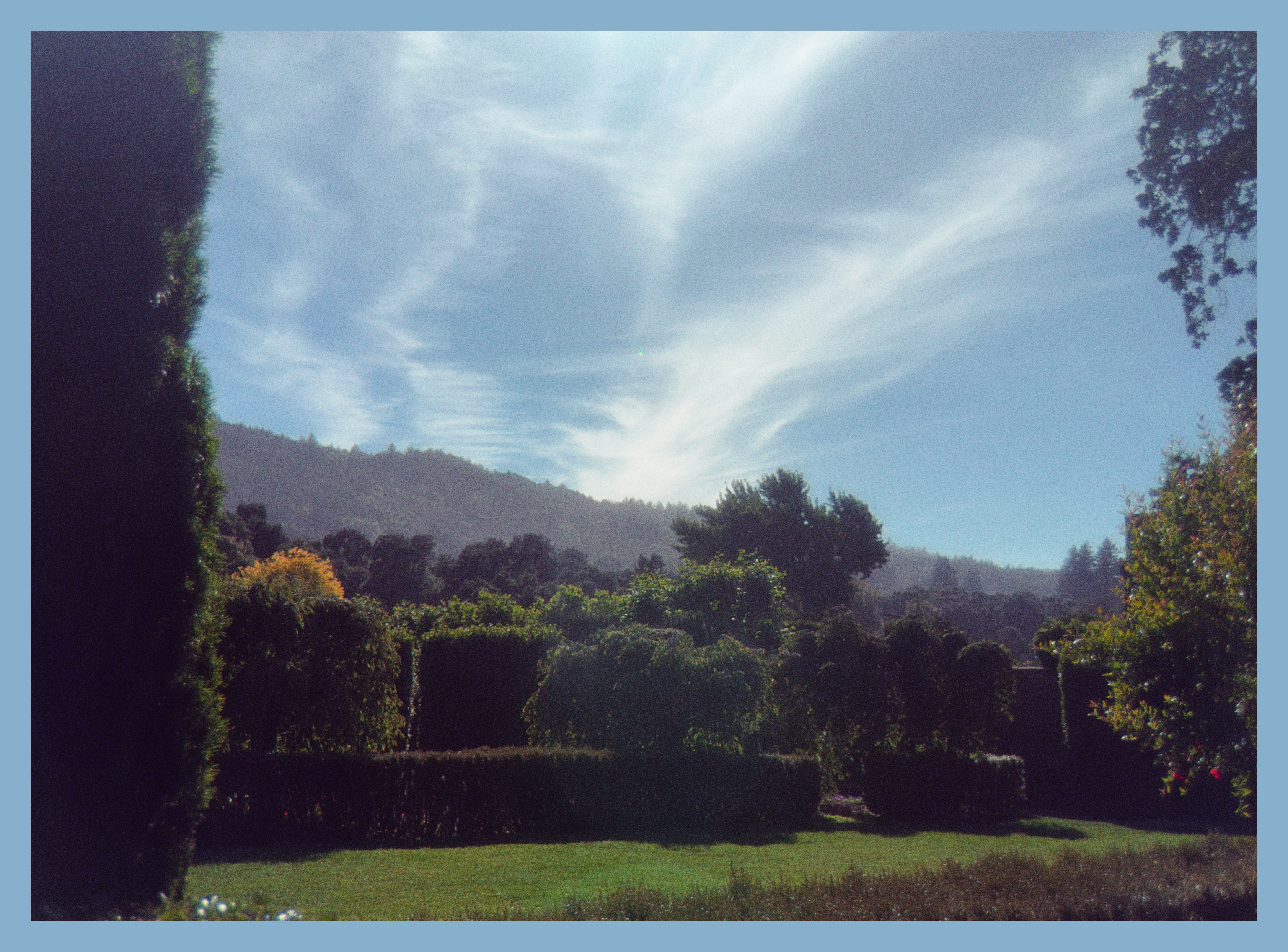 wispy clouds against a blue sky with greenery below