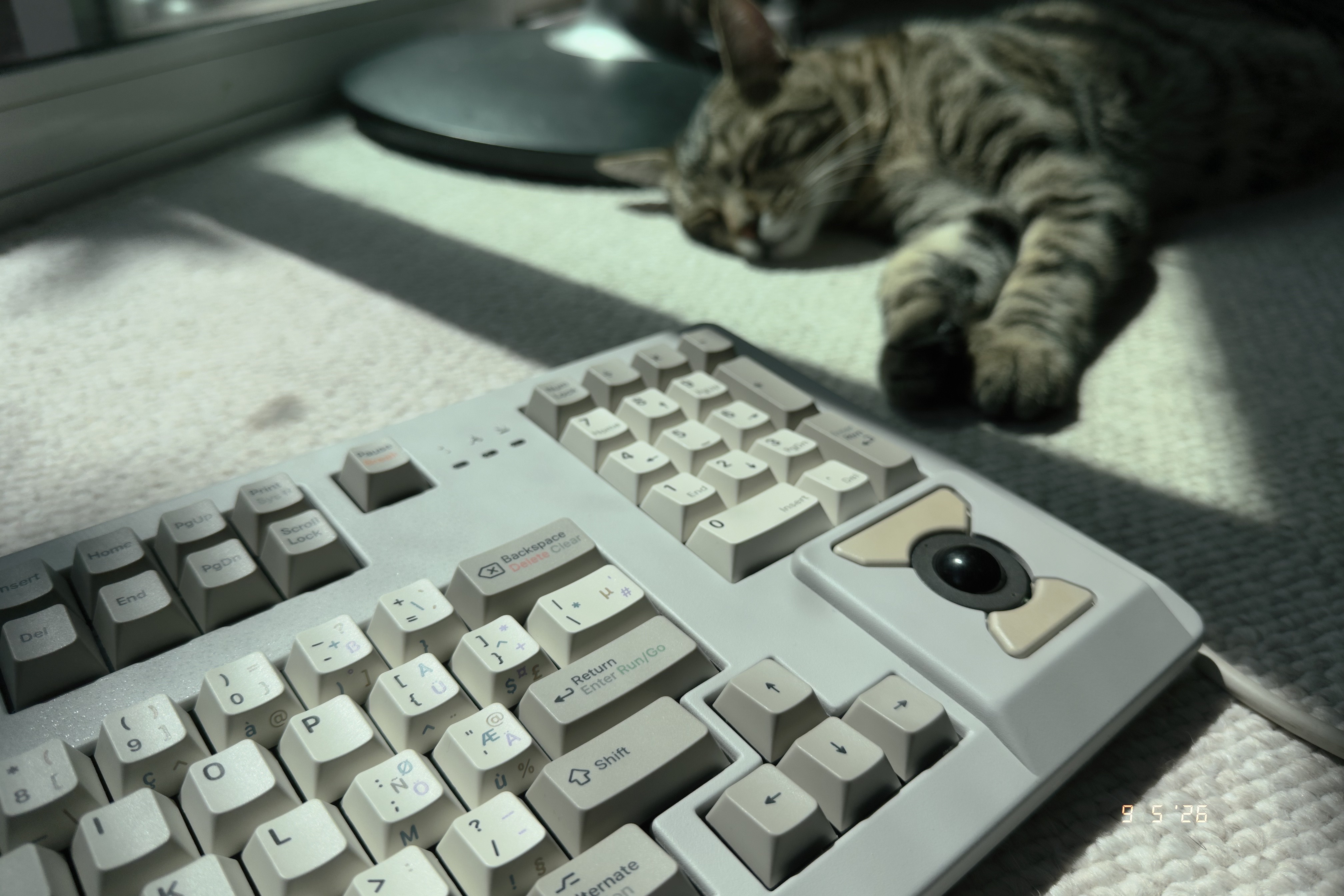 right side of my keyboard, featuring Bean the cat