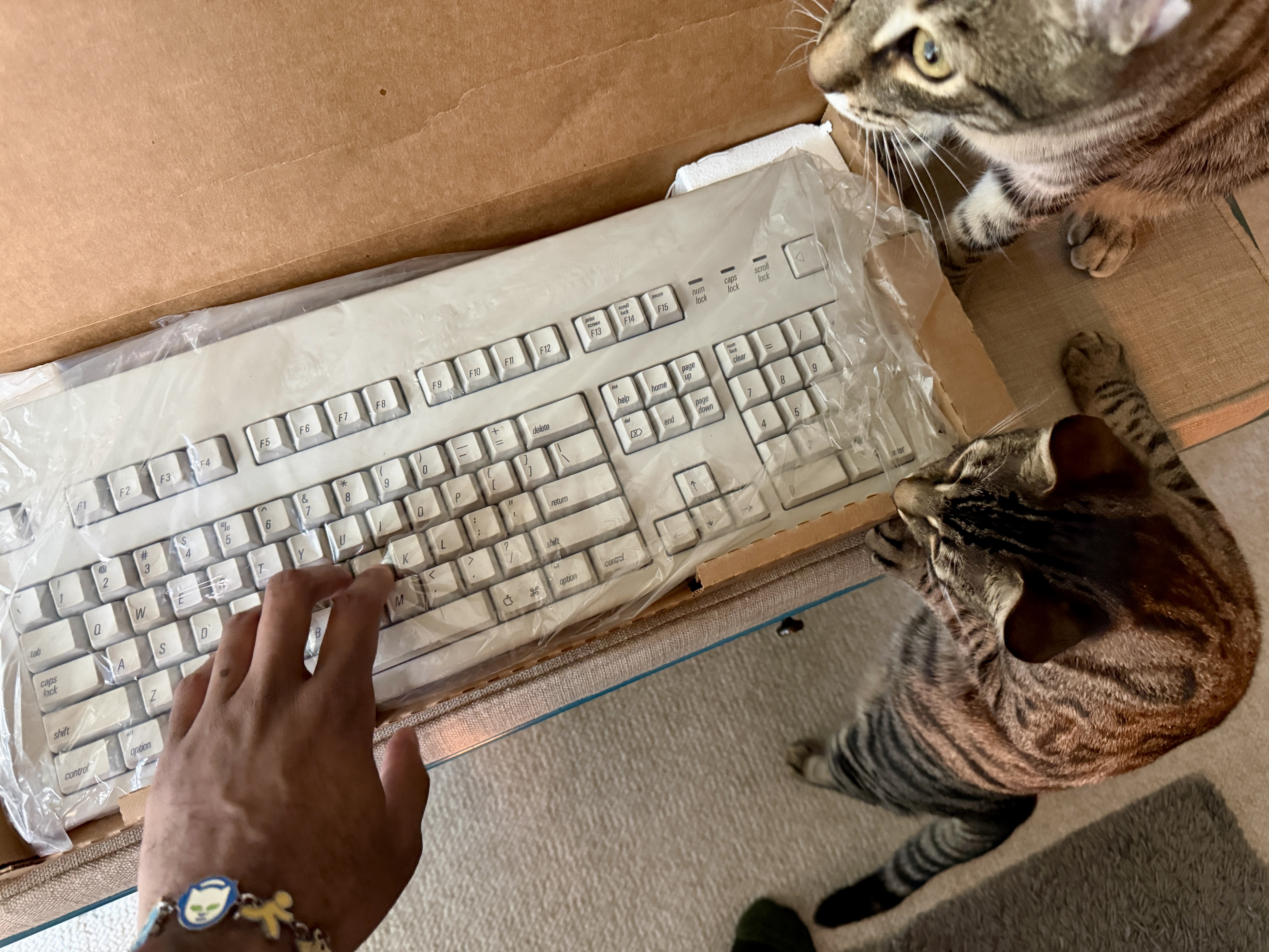 Bean and Cocoa checking out the AEK II